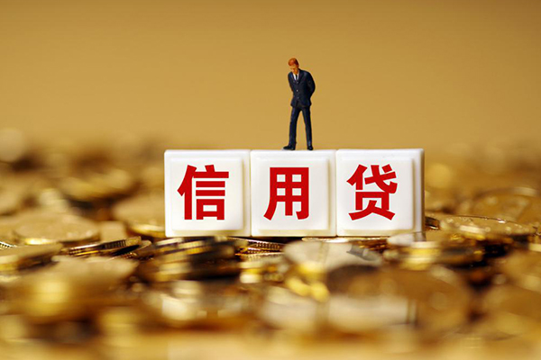 成都私放哪里可以借私借-成都私放个人贷款都有哪些平台-成都私放小额贷款